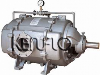 SK(2YK)系列水環真空泵